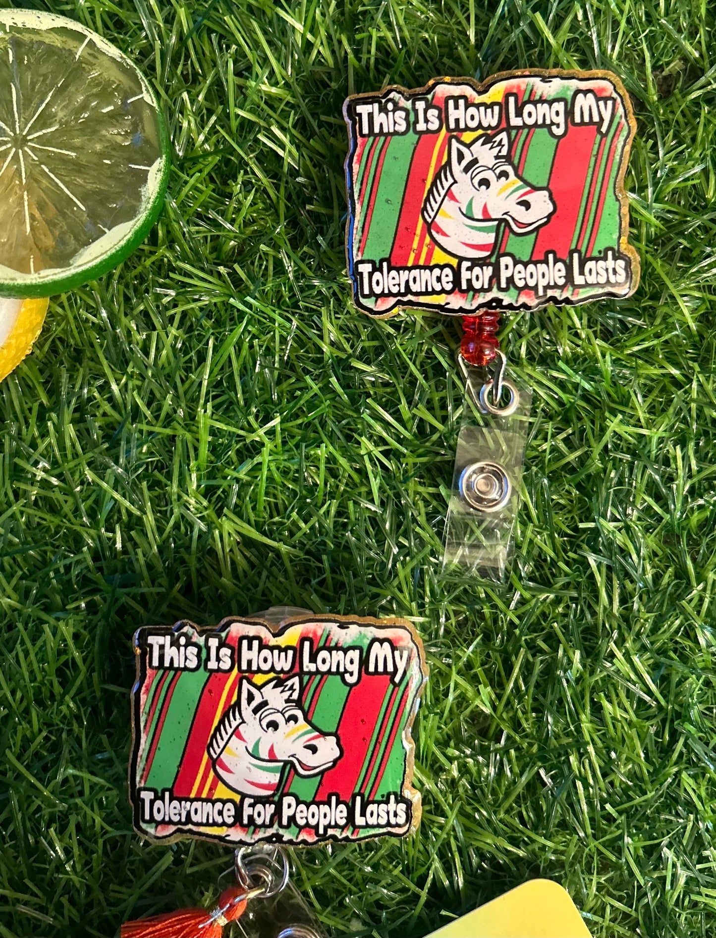 Fruit Stripe Zebra Badge Reel, Funny Nurse ID Holder, Retro Rainbow Badge Clip, Cute Nursing Accessory, Healthcare Gift for Coworker